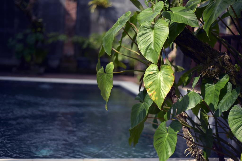 Wooden Villa by Prasi Ubud Exterior foto